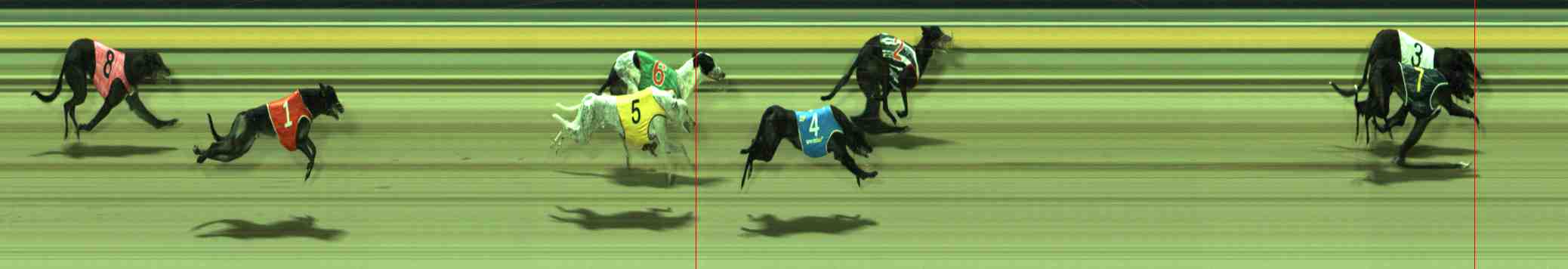 Photo finish for Sale Race 12