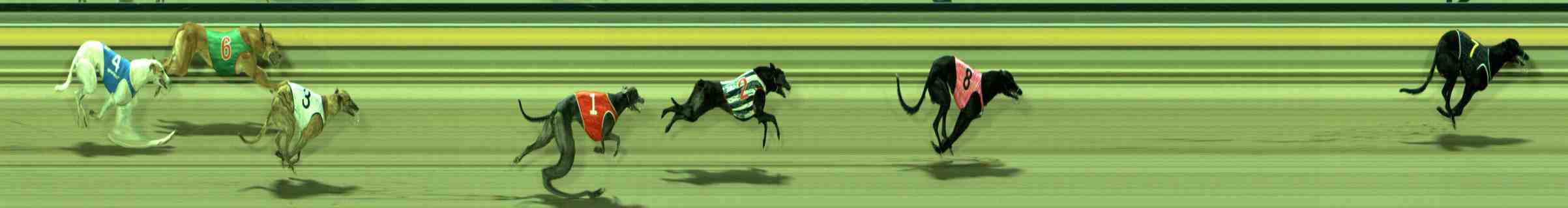 Photo finish for Sale Race 2