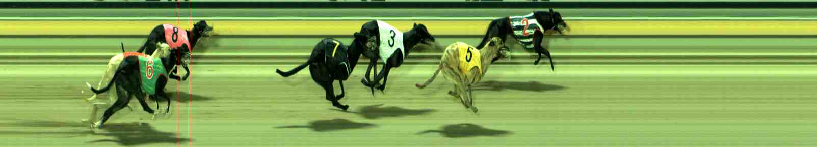 Photo finish for Sale Race 3