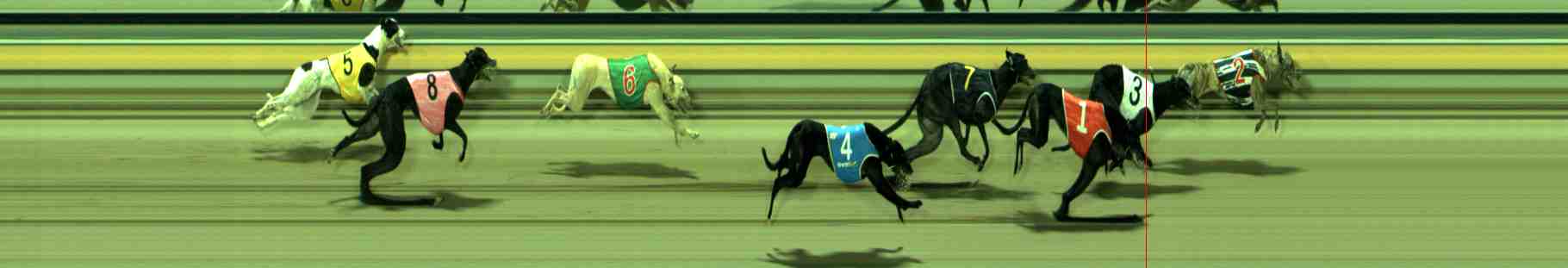 Photo finish for Sale Race 10