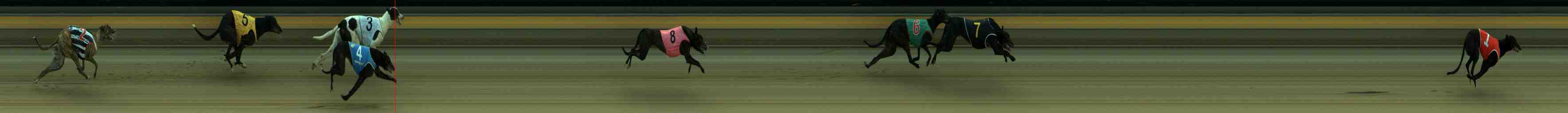 Photo finish for Sale Race 1
