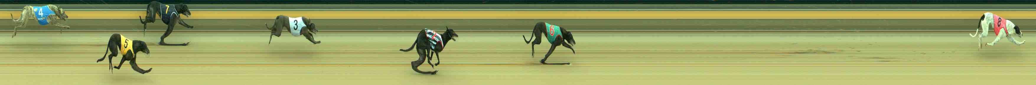 Photo finish for Sale Race 2