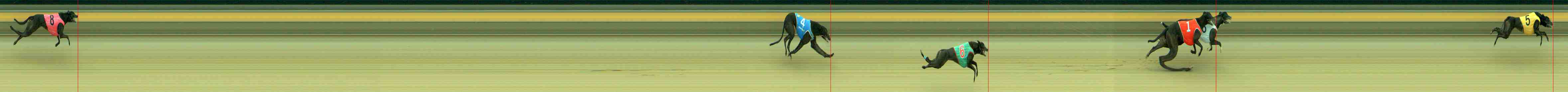 Photo finish for Sale Race 3