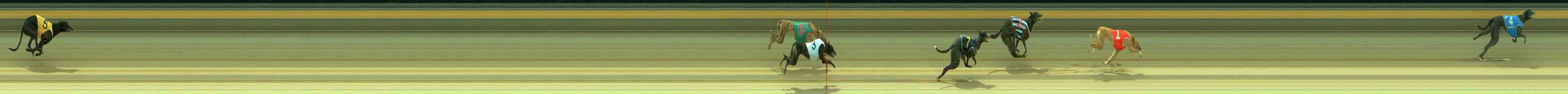 Photo finish for Sale Race 4