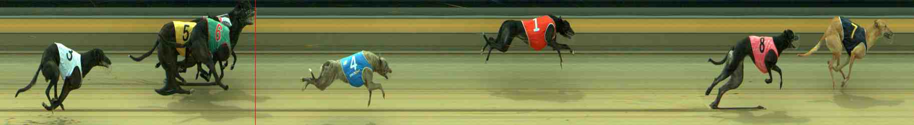 Photo finish for Sale Race 5
