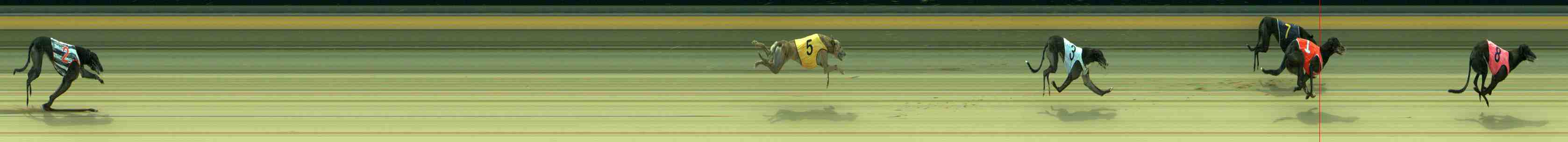 Photo finish for Sale Race 6