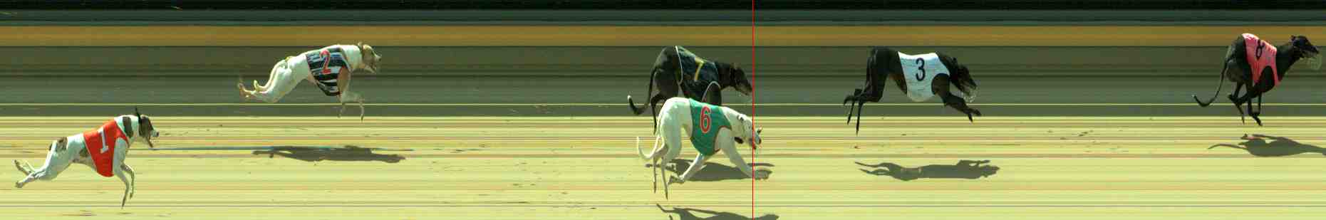 Photo finish for Sale Race 7