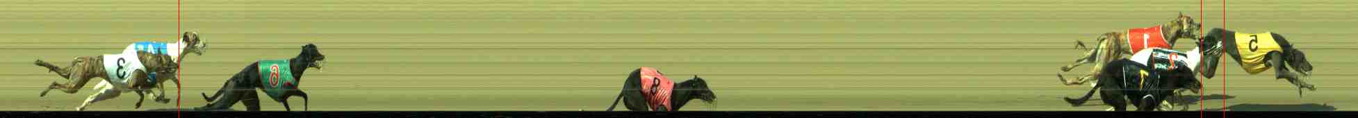 Photo finish for Sale Race 8