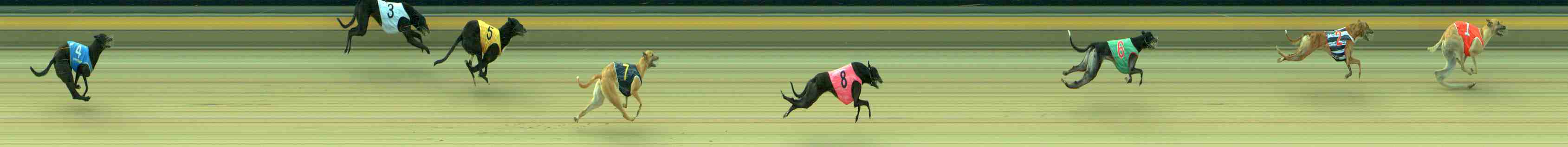 Photo finish for Sale Race 10