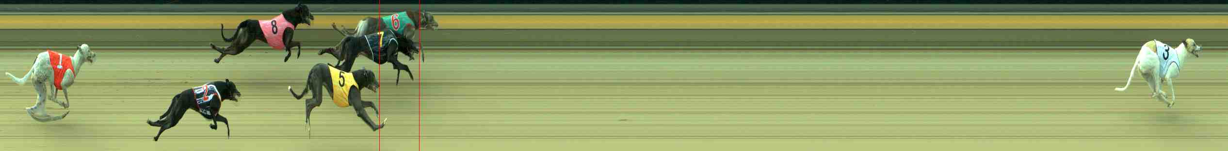 Photo finish for Sale Race 11