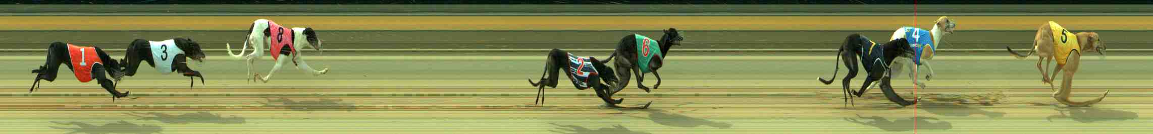 Photo finish for Sale Race 12