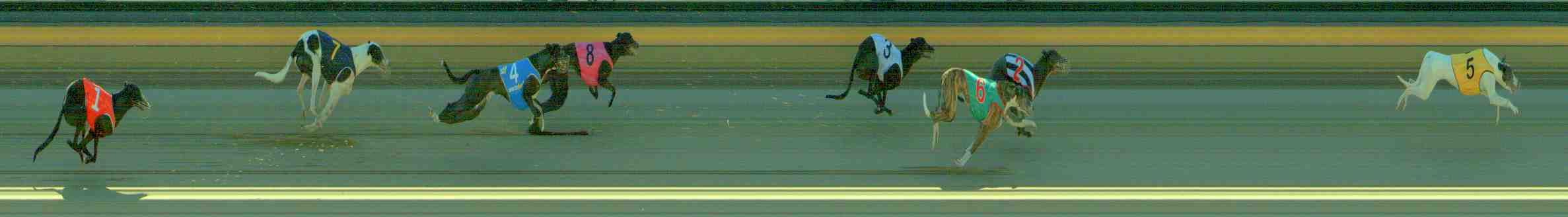 Photo finish for Sale Race 1