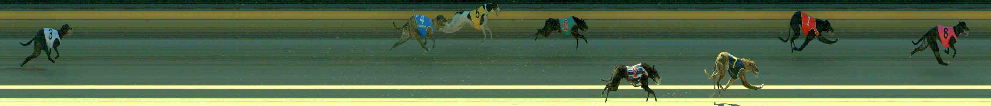 Photo finish for Sale Race 2