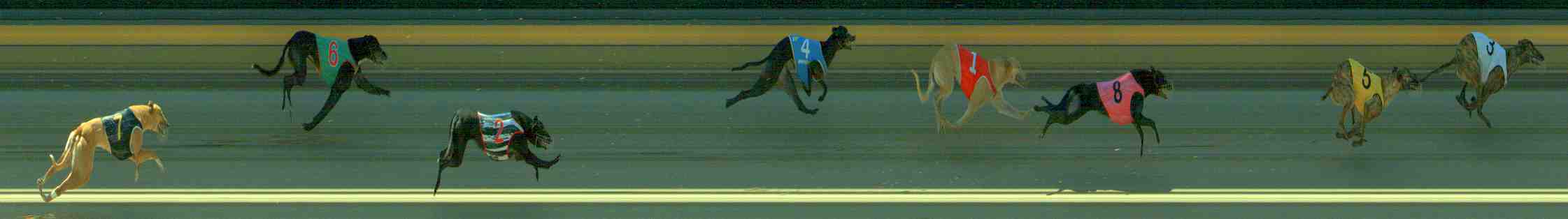 Photo finish for Sale Race 3