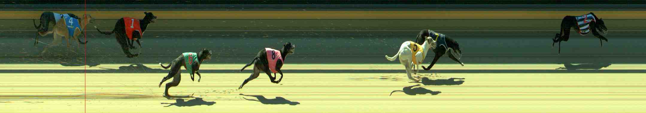 Photo finish for Sale Race 4