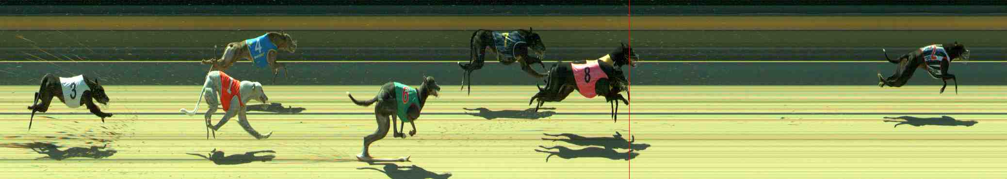 Photo finish for Sale Race 5