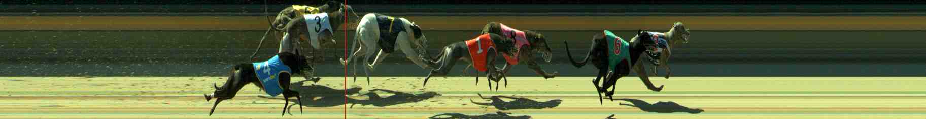 Photo finish for Sale Race 6