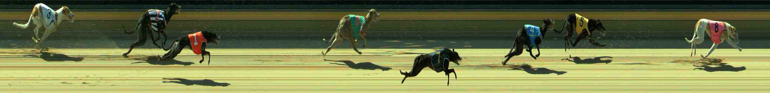 Photo finish for Sale Race 7