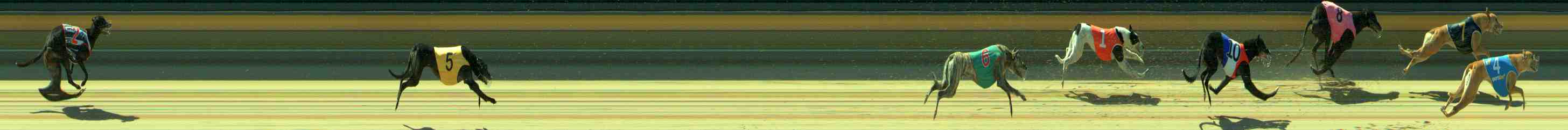 Photo finish for Sale Race 8