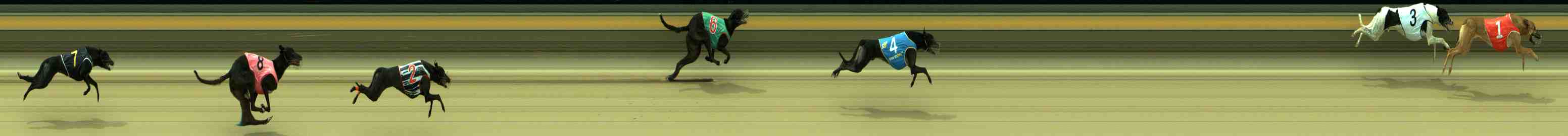 Photo finish for Sale Race 1