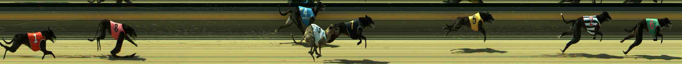Photo finish for Sale Race 3