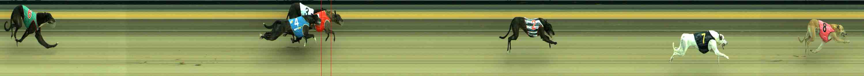 Photo finish for Sale Race 4