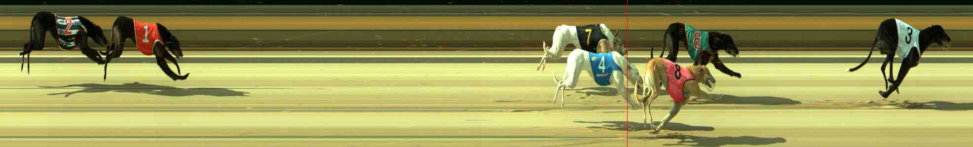 Photo finish for Sale Race 6