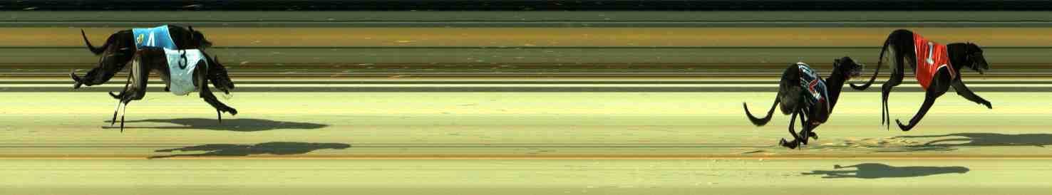 Photo finish for Sale Race 7