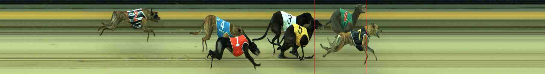 Photo finish for Sale Race 8