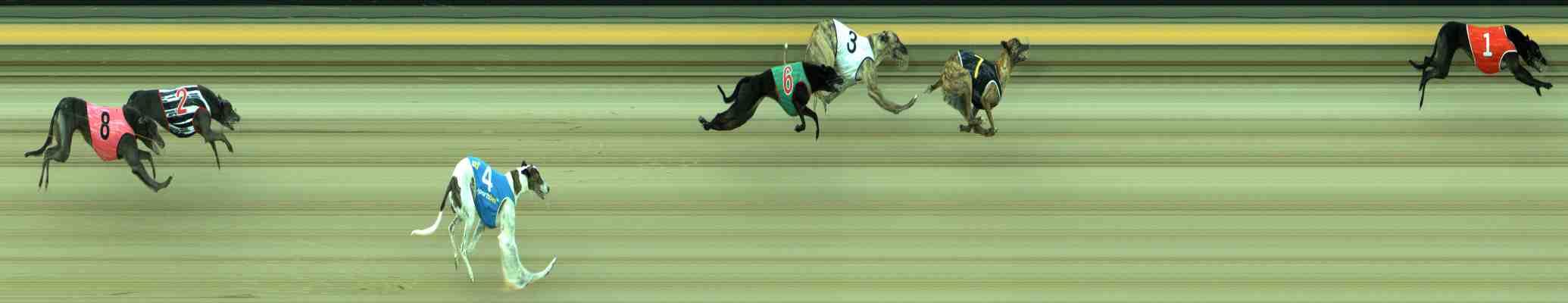 Photo finish for Sale Race 9