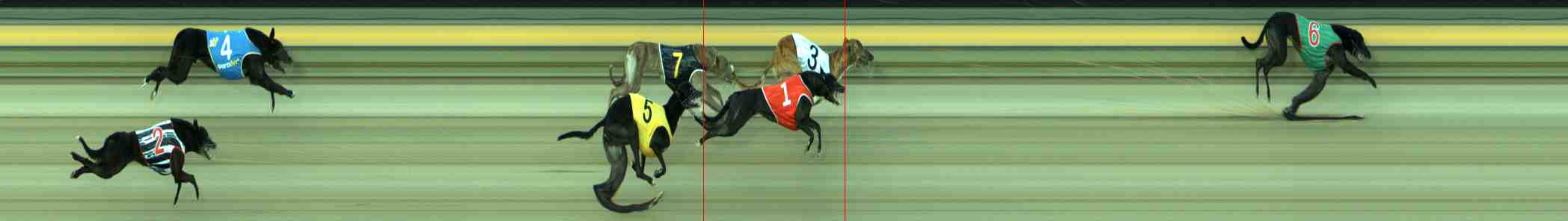 Photo finish for Sale Race 10