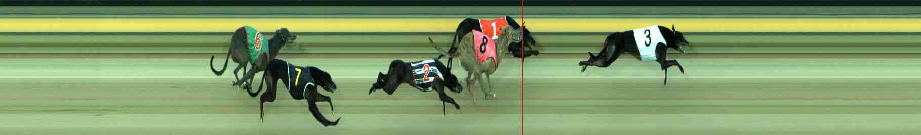 Photo finish for Sale Race 11