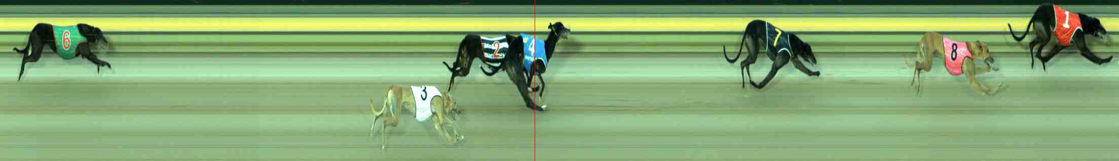 Photo finish for Sale Race 12