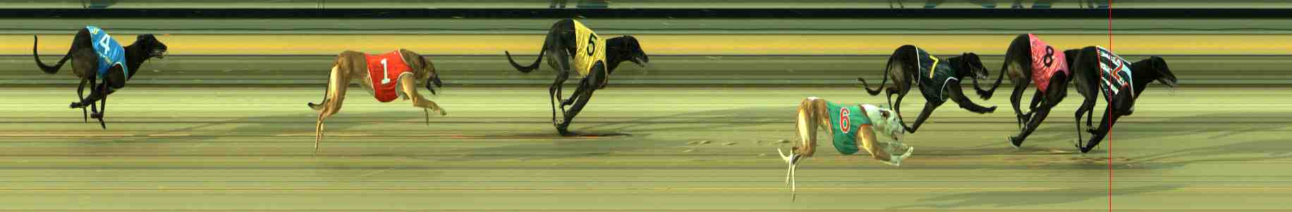 Photo finish for Sale Race 2