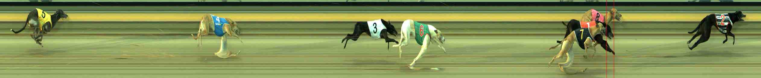 Photo finish for Sale Race 3