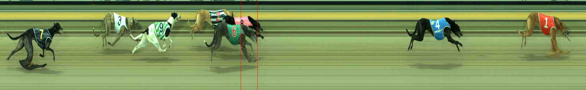 Photo finish for Sale Race 4