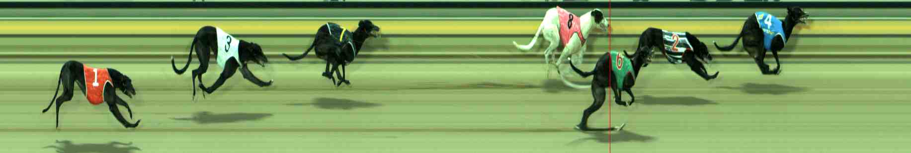 Photo finish for Sale Race 5