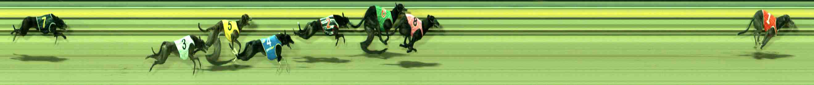 Photo finish for Sale Race 7