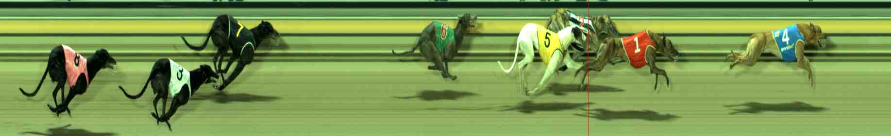 Photo finish for Sale Race 8