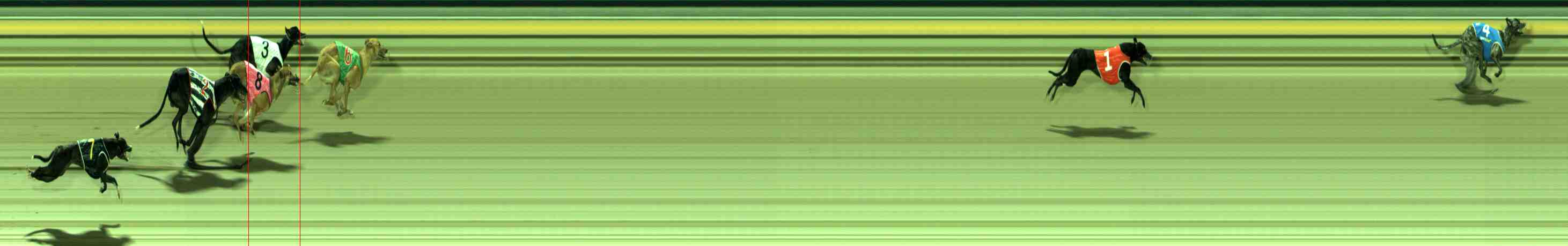 Photo finish for Sale Race 9