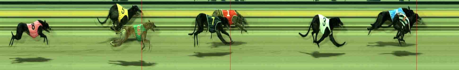 Photo finish for Sale Race 10