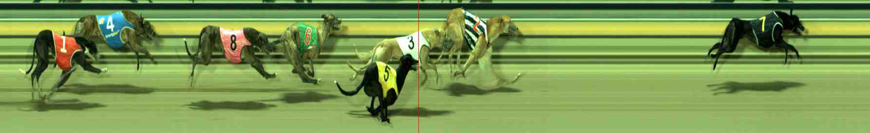 Photo finish for Sale Race 11