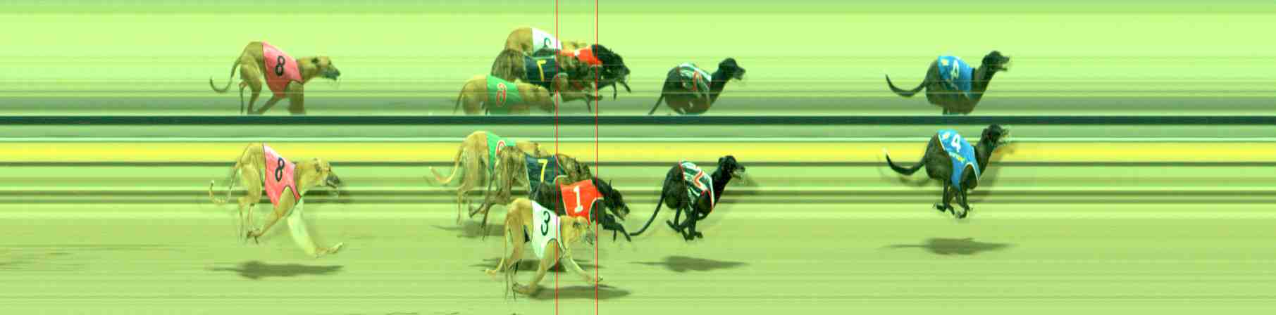 Photo finish for Sale Race 12