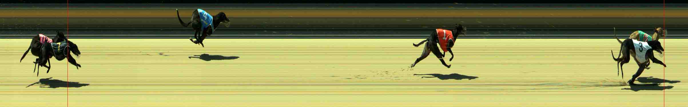 Photo finish for Sale Race 1