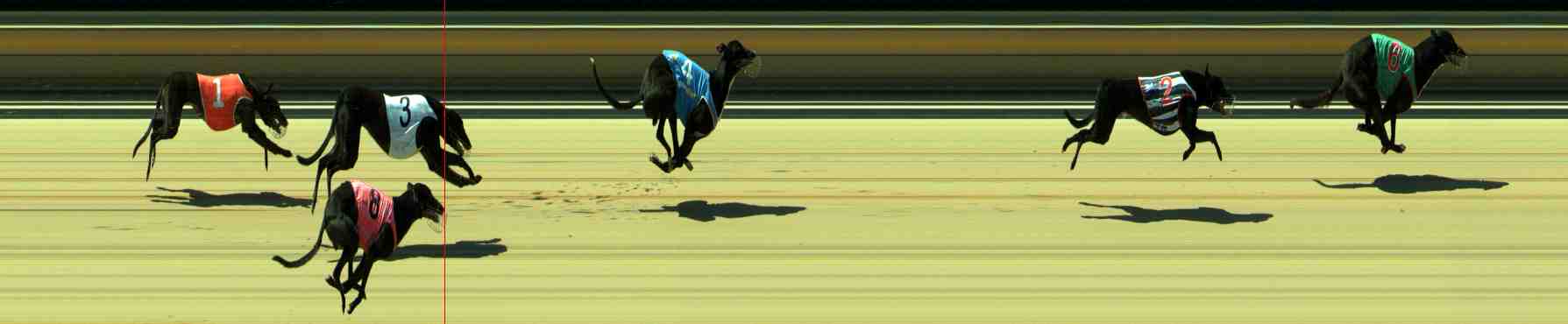 Photo finish for Sale Race 2