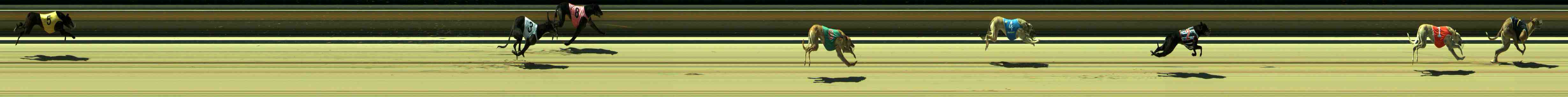 Photo finish for Sale Race 3