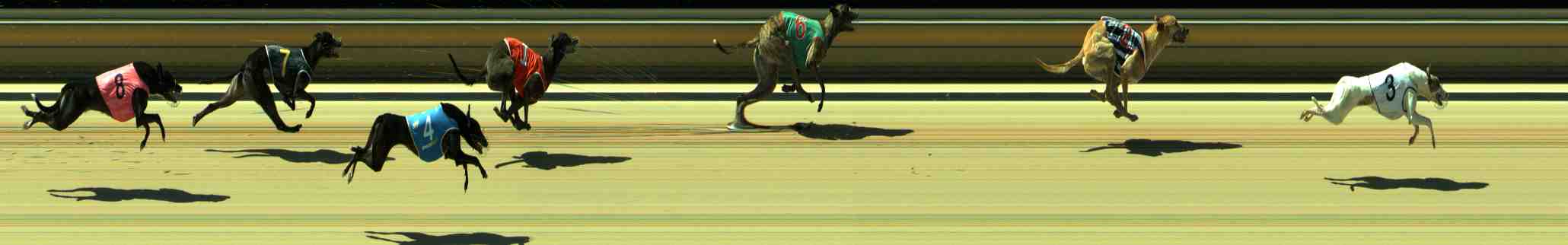 Photo finish for Sale Race 4