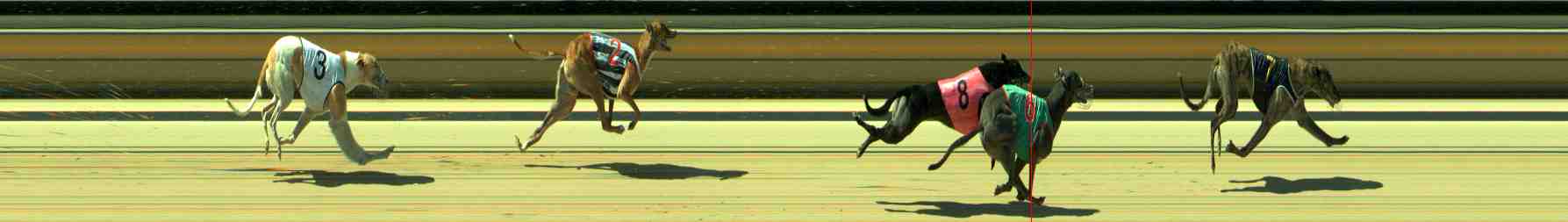 Photo finish for Sale Race 5