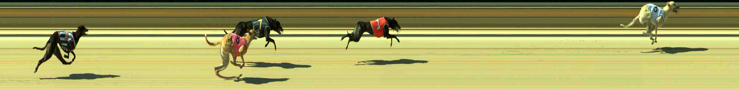 Photo finish for Sale Race 7