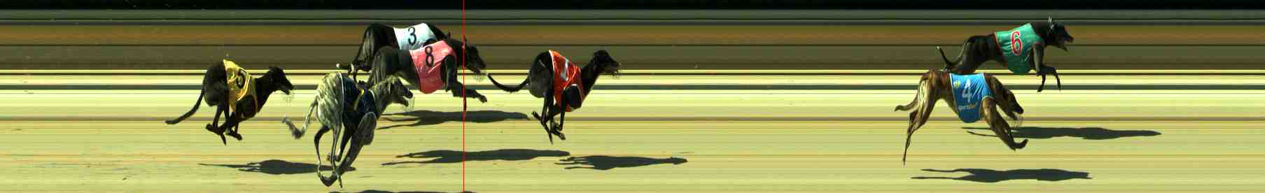 Photo finish for Sale Race 8